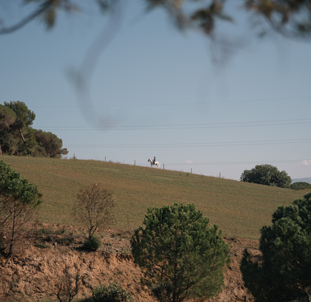 image00023